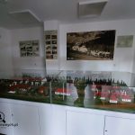 SzukamKrewnych.pl - szk makieta krynica 27