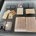 SzukamKrewnych.pl - szk woleniemowic