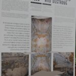 SzukamKrewnych.pl - Podroz w nieznane 5