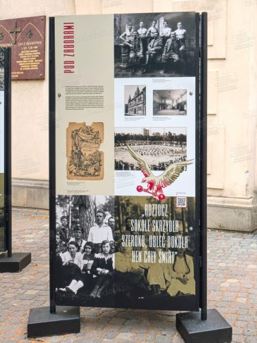 Sokół - w Jedności Siła